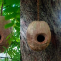 EBay: An Online Retailer for Quality Bird's Nests