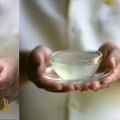 Exploring Indonesia and China's Bird's Nests