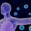 The Immune System: What You Need to Know