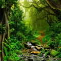 Exploring the Amazon: An Overview of the Online Retail Giant