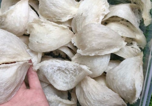 Health Food Stores: Where to Buy Quality Bird's Nests Locally