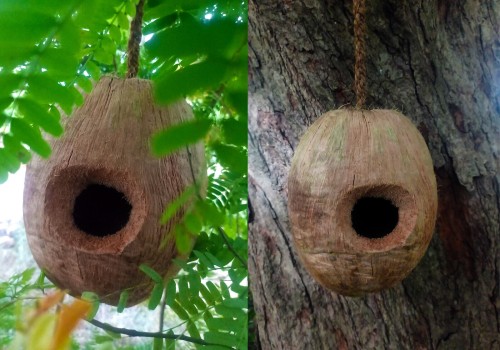 EBay: An Online Retailer for Quality Bird's Nests